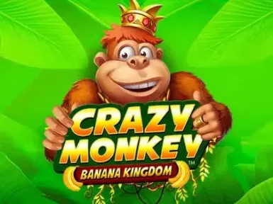 Fiz Casino screenshot